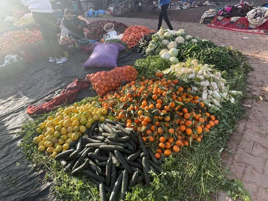 Marrakech: Waterfall, Valley, Atlas Mountain, Camel & Desert - Price and value: what you actually get for $10