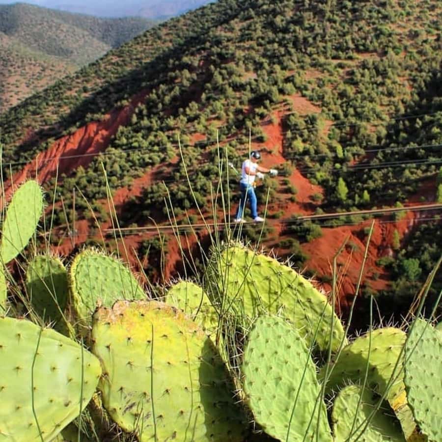 Marrakech: Zipline and Breakfast in the Atlas Mountains - Tahanaout Valley Breakfast at a Women’s Argan Cooperative