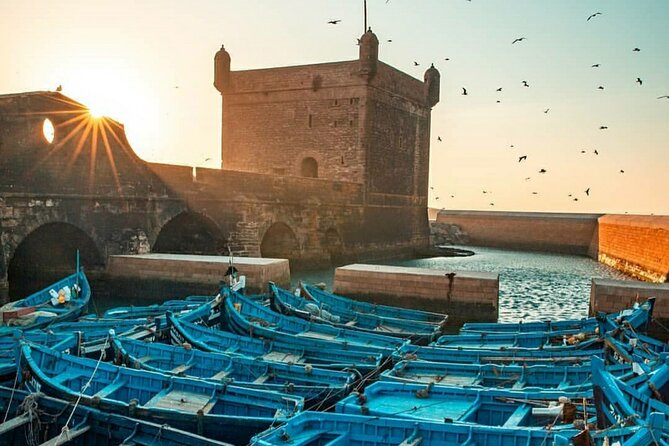 Marrakesh Agafay Desert Camel Ride, with traditional dinner show - Price and value: the math actually works