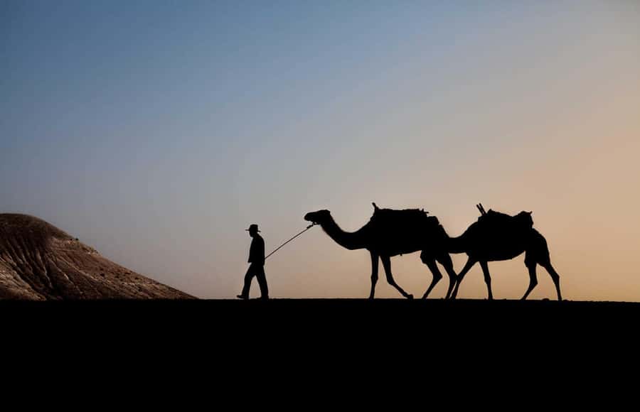 Marrakesh: Agafay Desert Quad & Camel Tour with Dinner - Quad biking across Agafay terrain: the thrill, the dust, and pacing