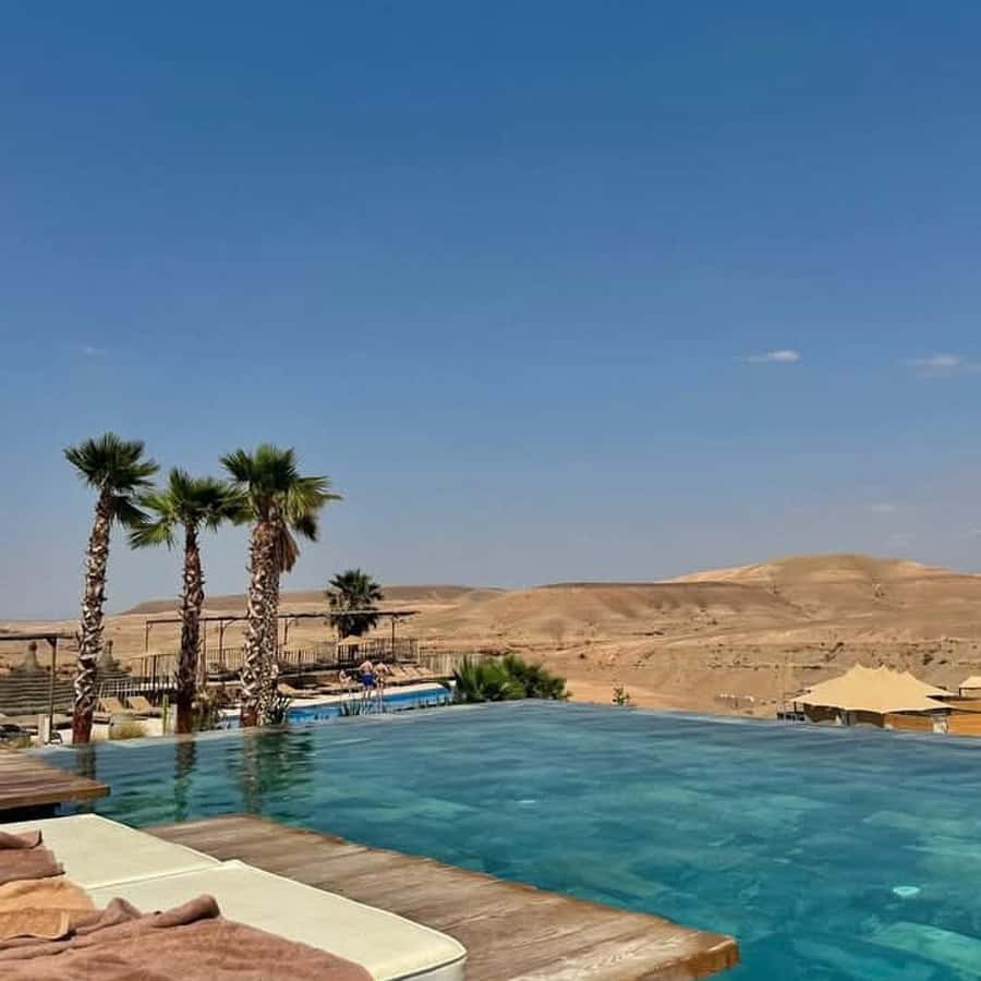 Marrakesh: Agafay Desert Tour with Lunch and Swimming Pool - Hotel Pickup to Argan Women’s Cooperative: The First Part of the Day