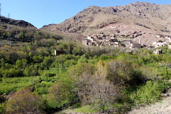 Marrakesh: Atlas Mountains Ourika Valley waterfall & Guide - Riverfront dinner, then the return toward Marrakech medina