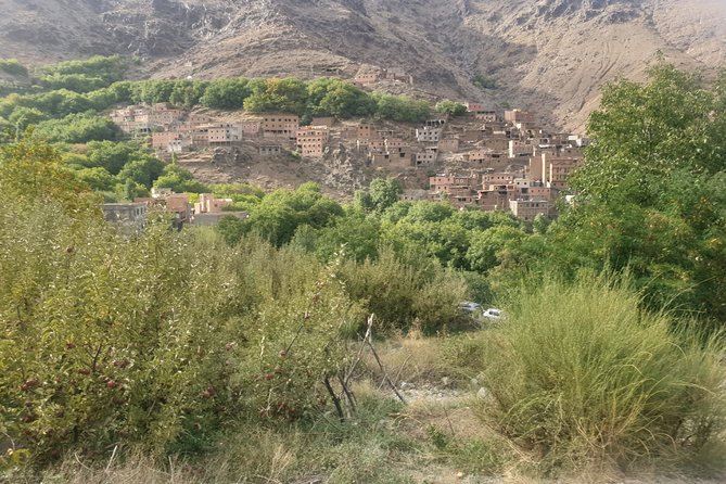 Marrakesh: Atlas Mountains Ourika Valley waterfall & Guide - Guides make this tour, and the names you’ll hear most
