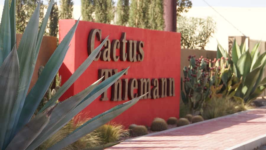 Marrakesh: Cactus Thiemann Entry Ticket - The 9-meter cactus forest and why it feels bigger than the numbers