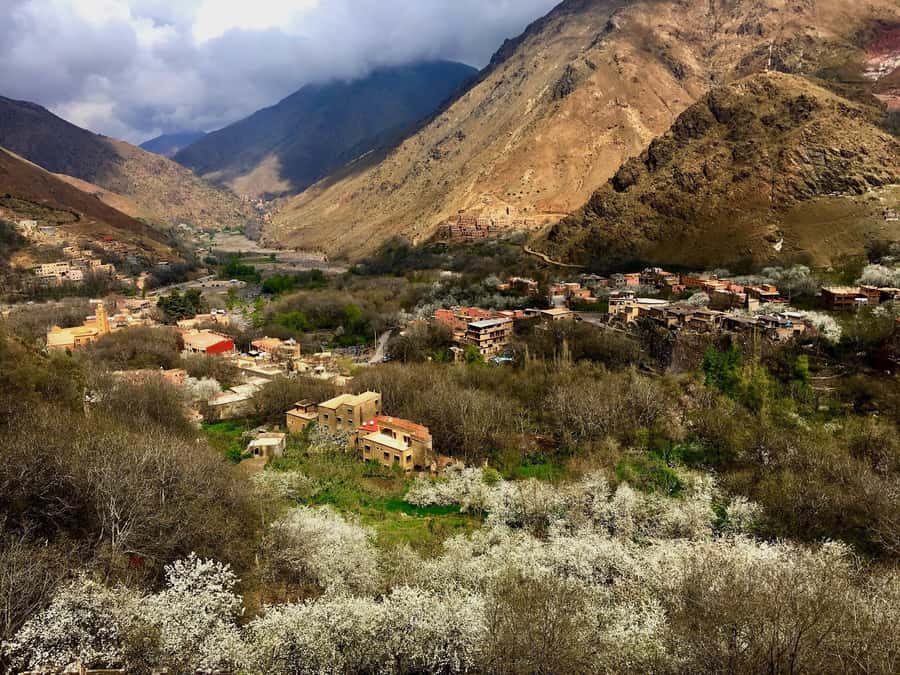 Marrakesh: Desert & Mountain Tour with Camel Ride & Lunch - Ait Souka Village lunch in a Berber house, the best “reset” of the day