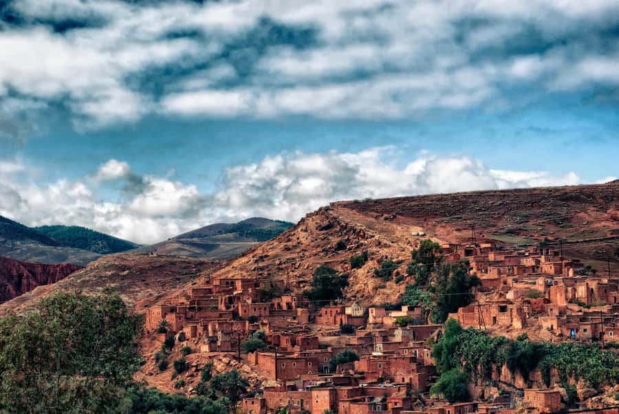 Marrakesh: Desert & Mountain Tour with Camel Ride & Lunch - Price and timing: what $22 gets you on a full-day tour