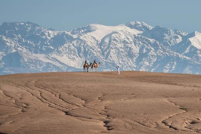 Marrakesh: High Atlas, Agafay desert and Waterfalls Tour - Key highlights worth your attention