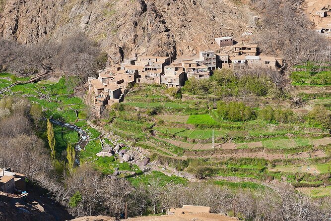 Marrakesh: High Atlas, Agafay desert and Waterfalls Tour - Plateau du Kik: The Tea Stop You Will Actually Remember