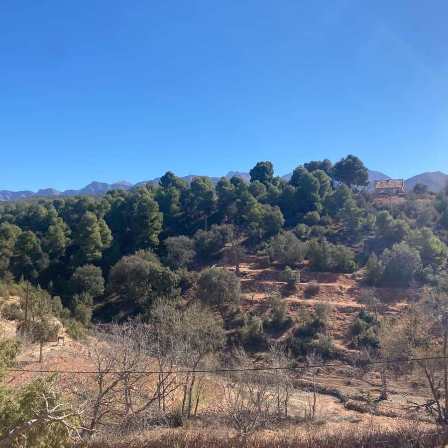 Marrakesh: Ourika Valley Tour & Secret Berber Lunch + Guide - Price and value: $21 is a bargain, with one catch