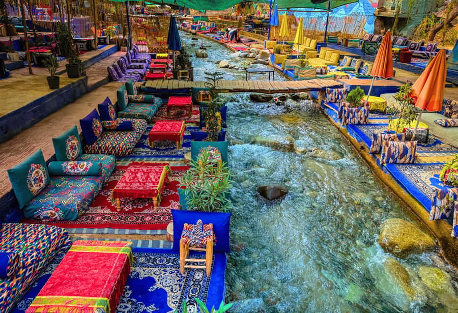 Marrakesh: Ourika Waterfalls, Atlas Mountains, Guide + Lunch - Argan oil at a women-led cooperative: where souvenir time meets meaning
