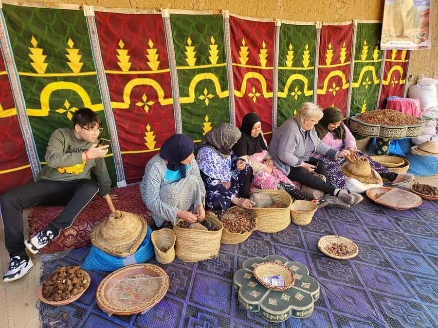 Marrakesh: Ourika Waterfalls, Atlas Mountains, Guide + Lunch - Price and value: why $17 can make sense here