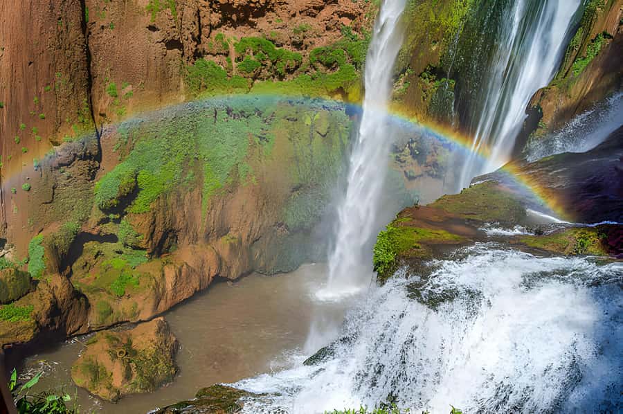 Marrakesh: Ouzoud Waterfalls Trip with Hike & Boat Option - Pickup in Marrakech: The 7:50 to 8:35 Start Time Reality