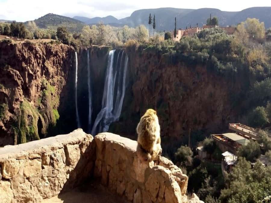 Marrakesh: Ouzoud Waterfalls Trip with Hike & Boat Option - Price and Value: What $14 Covers (and What It Does Not)