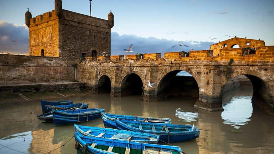 Marrakesh to Essaouira: Small-Group Day Trip & Cooperatives - Key highlights you will actually feel