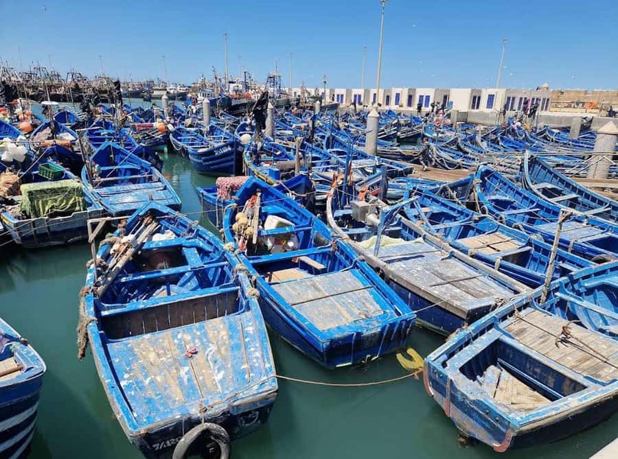 Marrakesh to Essaouira: Small-Group Day Trip & Cooperatives - Marrakesh to Essaouira: why this day trip works