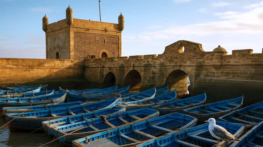 Marrakesh to Essaouira: Small-Group Day Trip & Cooperatives - Arriving around 11:30: getting your bearings fast