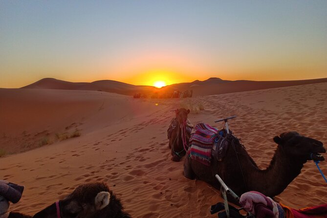 Marrakesh to Fez 3-Day with Overnight merzouga Desert Camping - Day two to Merzouga: Todra Gorges to desert villages