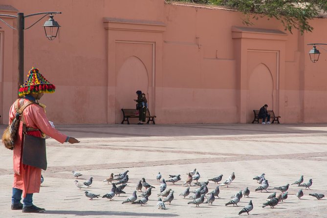 Medina of Marrakech Walking Tour - Price and value: what $65 buys, and what costs extra