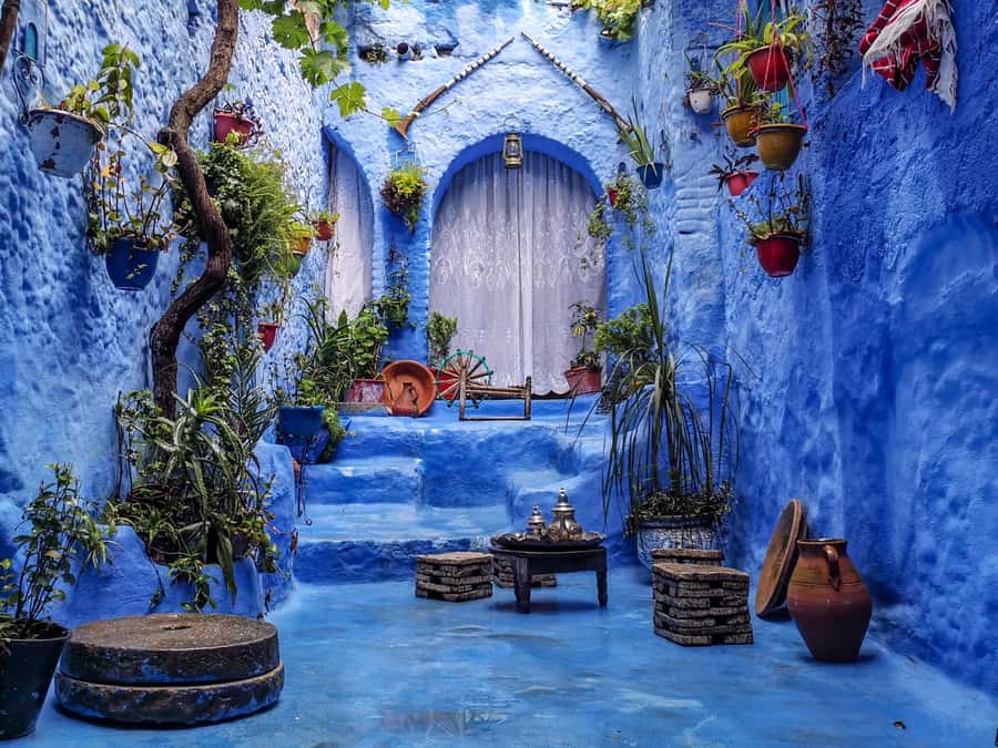 Memorable Day Trip From Fez to Chefchaouen the Blue City - Key things I’d plan around
