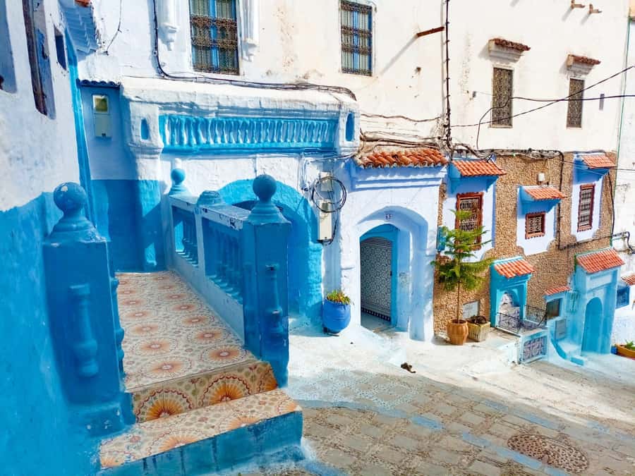 Memorable Day Trip From Fez to Chefchaouen the Blue City - On the way back to Fez, plan for a calmer exit
