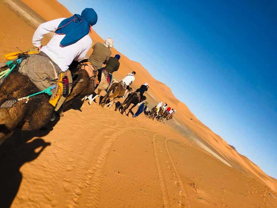 Merzouga: 1-Night in the luxury camp. camel ride & Dinner - Sandboarding, photo stops, and why they matter