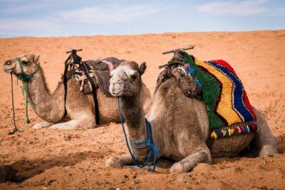 Merzouga 3-Days Desert Tour from Marrakech