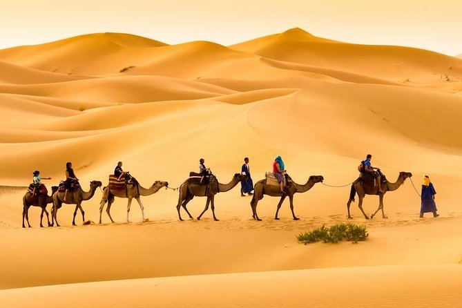 Merzouga 3-Days Desert Tour from Marrakech - What makes the camel ride and camp night work
