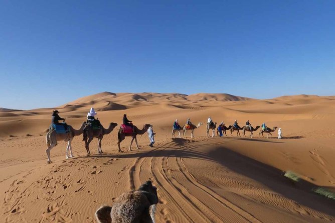 Merzouga 3-Days Desert Tour from Marrakech - Guides, organization, and the human side