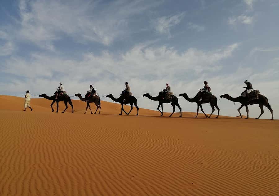Merzouga Desert: 3-Day Desert Tour from Marrakech - Morning desert sunrise and the camel ride back to Merzouga