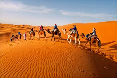 Overnight Camel Trek with Sandboarding