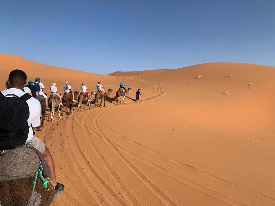 Merzouga: Overnight Camel Trek with Sandboarding - Sandboarding: worth doing, or a letdown?