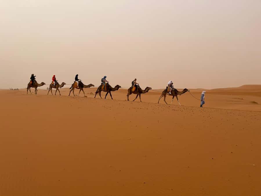 Merzouga: Overnight Camel Trek with Sandboarding - Desert camp options: standard, royal, or luxury, and what to expect from real life