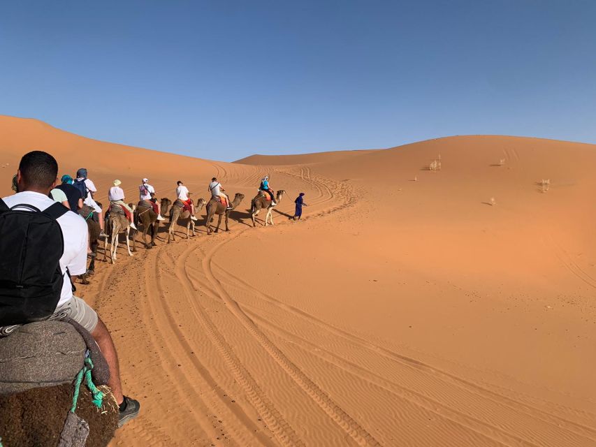 Merzouga: Overnight Camel Trek with Sandboarding - Dinner, mint tea, Berber drumming, and the stars you came for