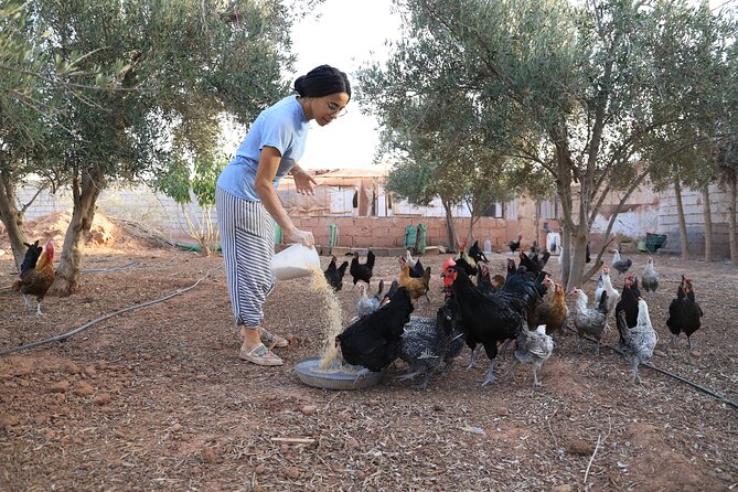 Moroccan Cooking Class and Eco-Farm Visit - Full day - Price and Value: Is $48 a Good Deal?
