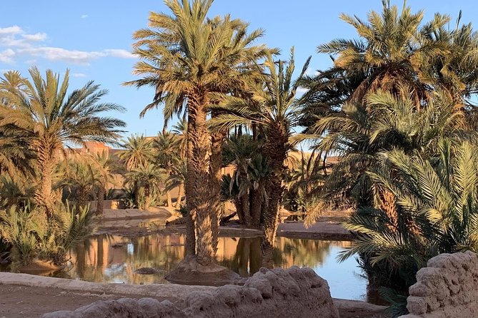 Moroccan Desert 3-Day Luxury Tour from Marrakech - Day 2: Todra Gorges to Erg Chebbi, camel trek and a nomadic-style night