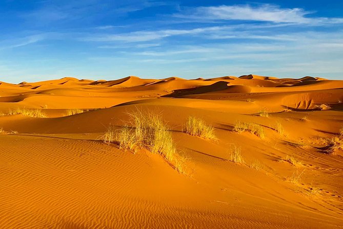 Moroccan Desert 3-Day Luxury Tour from Marrakech - What to do about luggage, camel bags, and cold mornings