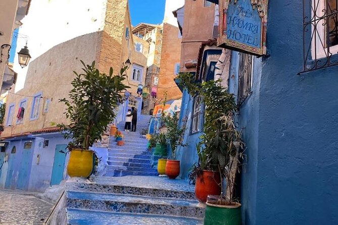 Morocco 11 Days Tour from Casablanca via Sahara Desert - Essaouira: goats, argan forest, and a coastal reset