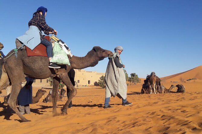 Morocco 12 Days Tour from Casablanca - Casablanca and Rabat: Morocco’s big monuments, with an easy rhythm
