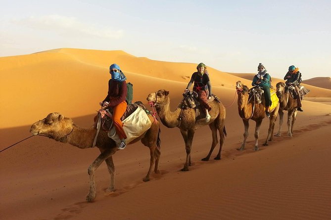 Morocco 9 Days Tour from Casablanca - Dades to Marrakech: rose valley stop, Ouarzazate, Ait-Ben-Haddou, and the Atlas pass