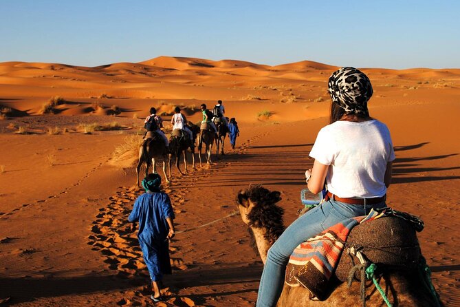 Morocco Top Trips: 15-Day Private Tour in Morocco - Volubilis and Meknes UNESCO Hits, Then Fez in Full Medieval Mode