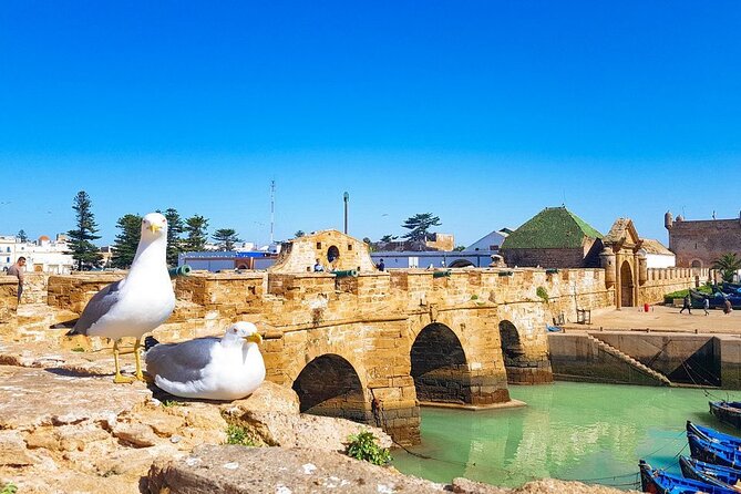 Morocco Top Trips: 15-Day Private Tour in Morocco - Tizi n-Tishka to Marrakech: Palaces, Gardens, and Jemaa el-Fna