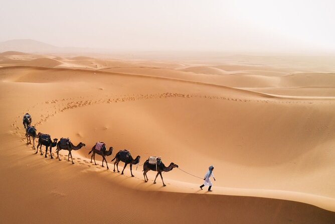 Morocco Tour from Casablanca to Sahara and Marrakech 5 days - Price and Logistics: What $2,890 really buys you