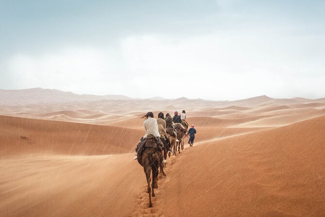 Morocco tour start from Casablanca 8 days - The Middle Atlas drive: Ifran, cedar forests, and the approach to the Sahara