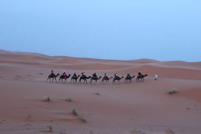 Morocco Tours 10 Days from Casablanca : Imperial Cities & Sahara Desert - Day 3: Volubilis and Meknes, Roman Ruins and Bab Mansour Gate