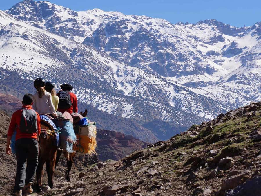 Mount Toubkal Trek 2 Days & 1 Night - Guides and safety: the human part of the mountain
