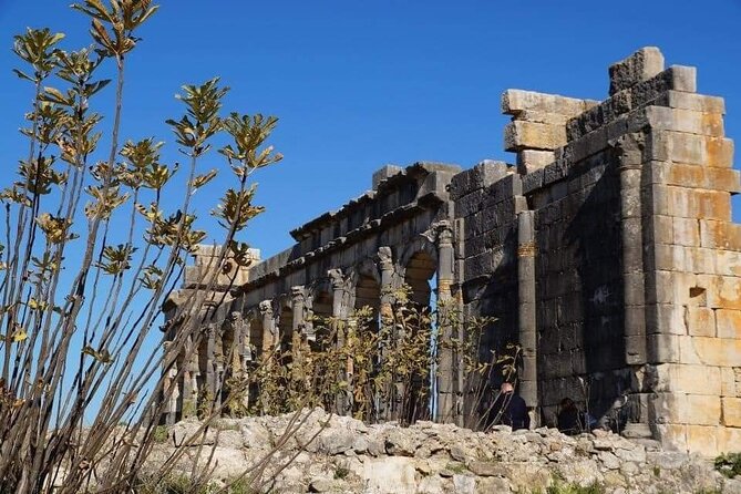 One day trip to Volubilis and meknes from Fes - Comfort, Pickup, And The Driver Experience That Makes Or Breaks A Day