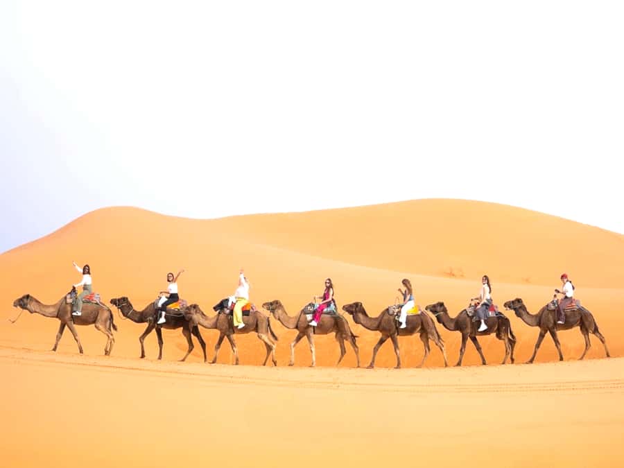 Ouarzazate to Marrakech: 3-Day Desert Tour with Camel Trek - Dades Gorges: your first night base with dinner and breakfast