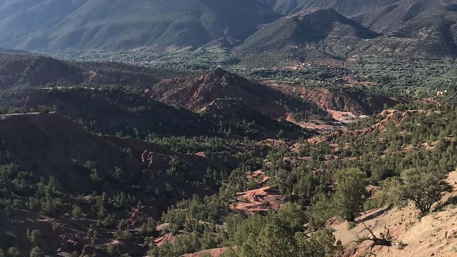 Ouirgan Berber villages & Salt mine Day trip from Marrakech - Lunch in a local family home: the meal is part of the experience