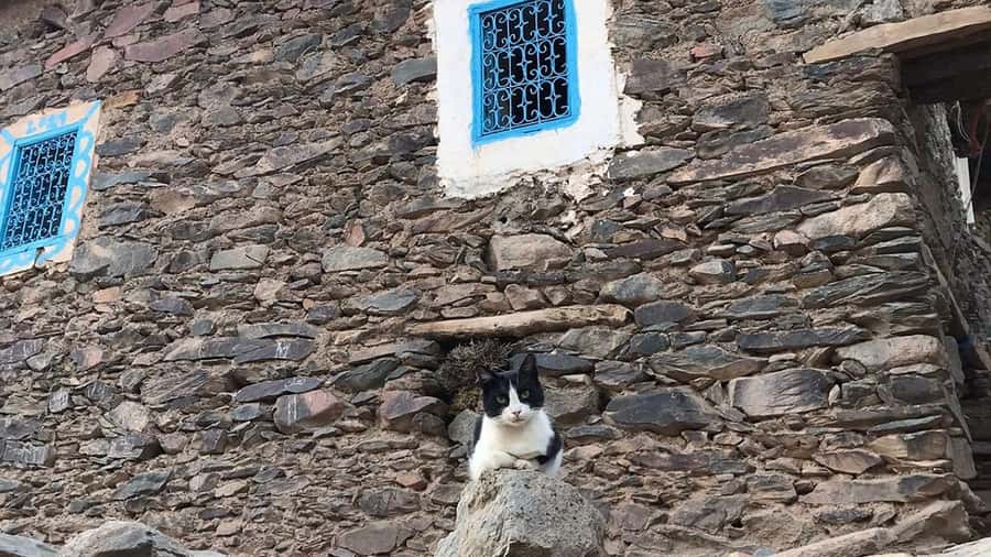 Ouirgan Berber villages & Salt mine Day trip from Marrakech - Guides and conversation: the small-group format pays off