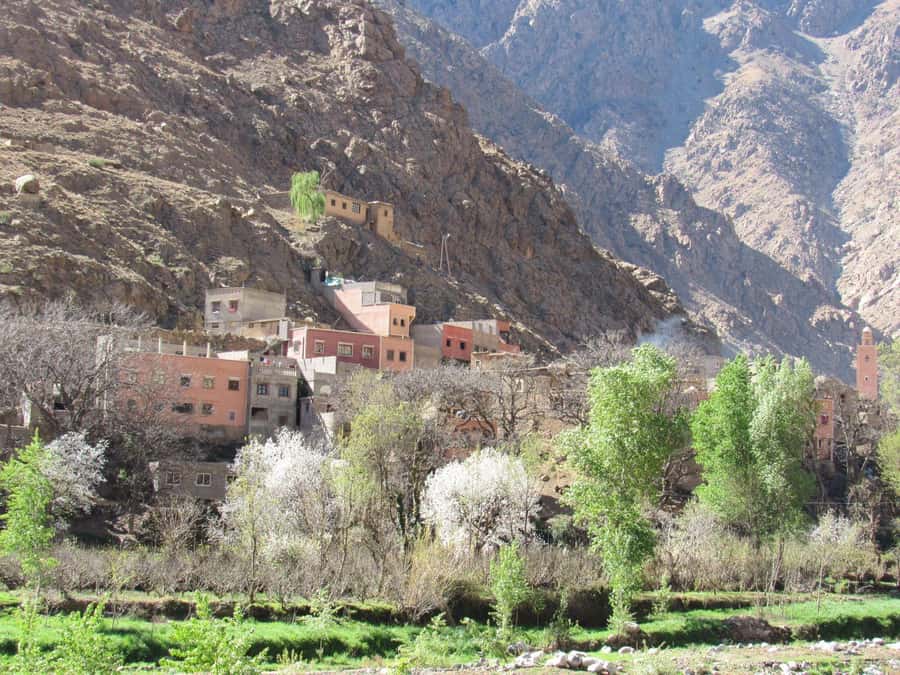 Ourika valley & atlas mountains guided tour from Marrakech - Key things to know before you go to Ourika Valley